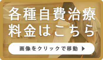 各種自費治療料金